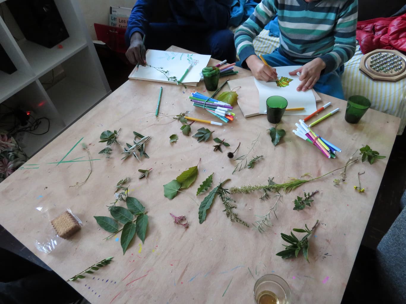 Photo de HERBIER DE LA MURAILLE